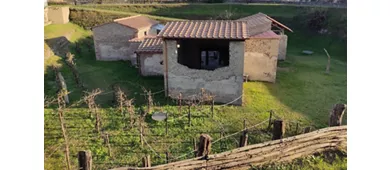Villa Regina