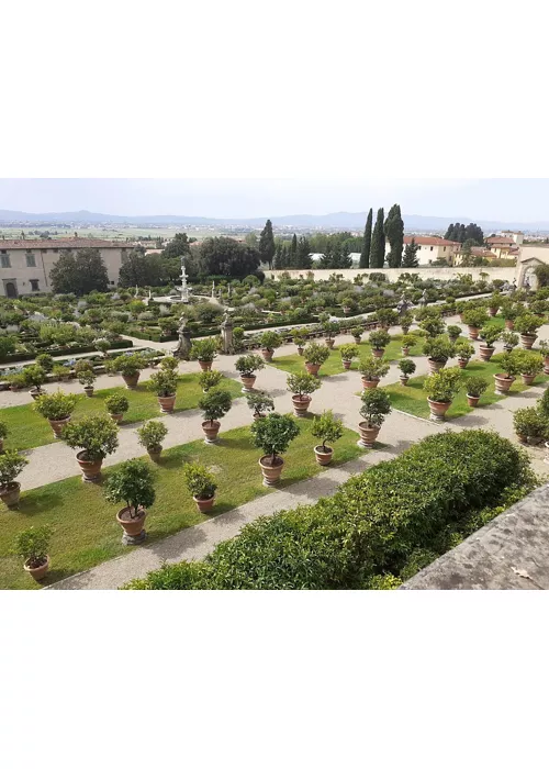 Giardino della Villa Medicea di Castello