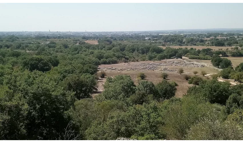 Parco Archeologico di Monte Sannace