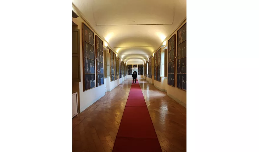 Palazzo Santacroce - Altieri