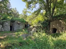 Acropoli e Necropoli di San Giovenale - Necropoli Rupestri di S. Giovenale e Terrone