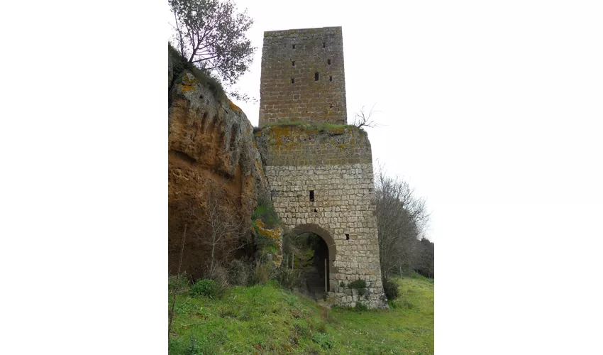 Necropoli Etrusca di Castel d'Asso