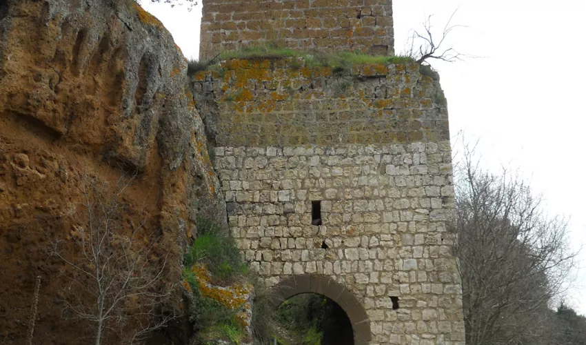 Necropoli Etrusca di Castel d'Asso