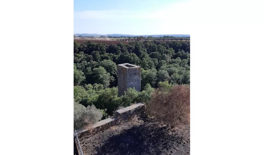Necrópole Etrusca de Castel d'Asso