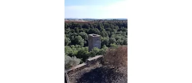 Necropoli Etrusca di Castel d'Asso