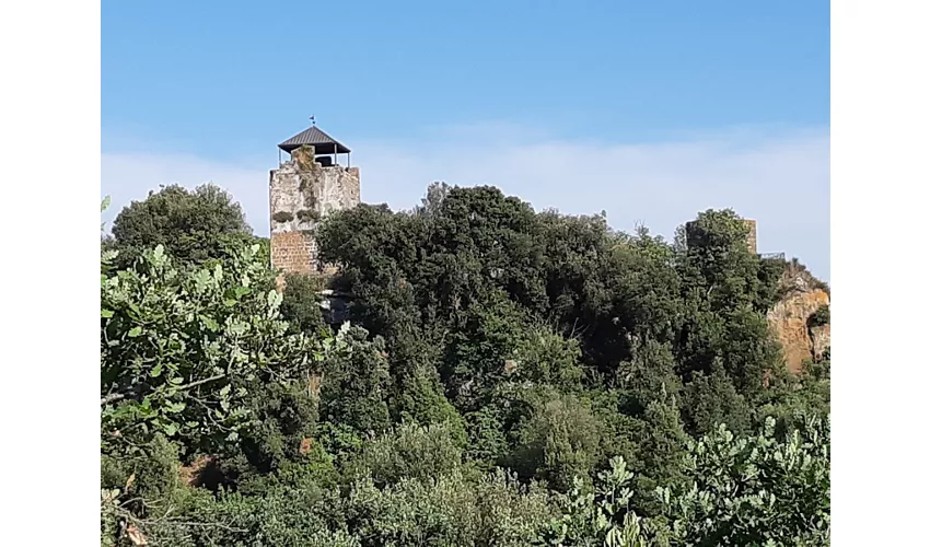 Necrópole Etrusca de Castel d'Asso