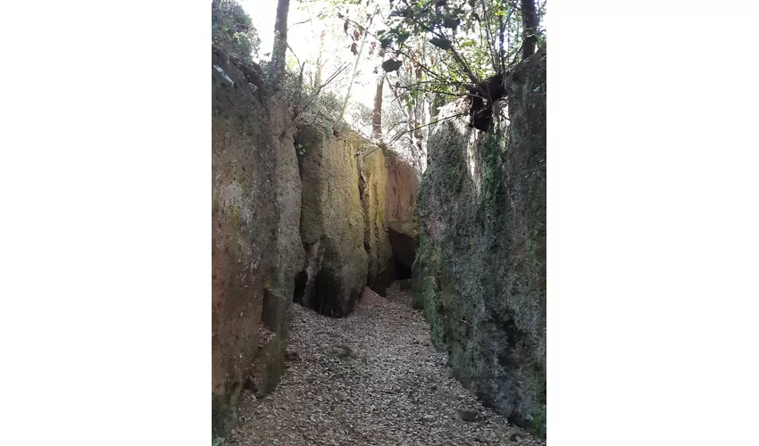 Etruskische Nekropole von Castel d'Asso