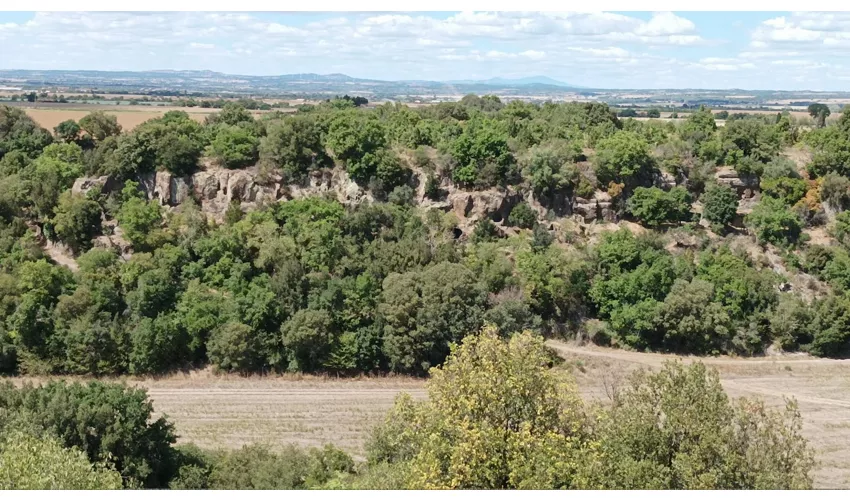 Necropoli Etrusca di Castel d'Asso