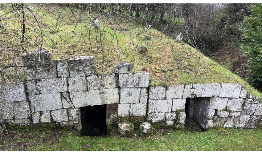 Necropoli etrusca di Crocifisso del Tufo