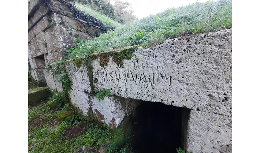 Necropoli etrusca di Crocifisso del Tufo