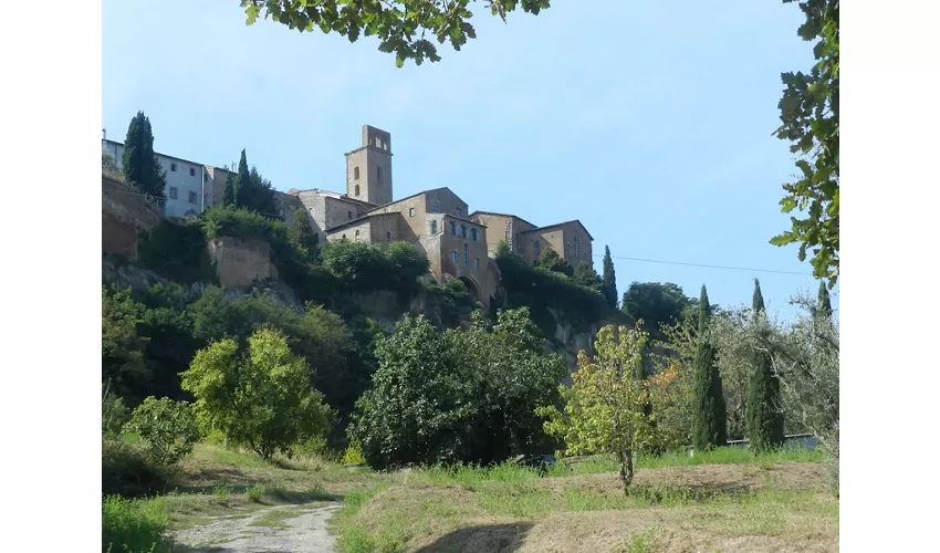 Nécropole étrusque de Crocifisso del Tufo