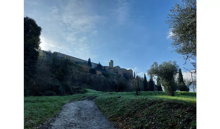 Nécropole étrusque de Crocifisso del Tufo
