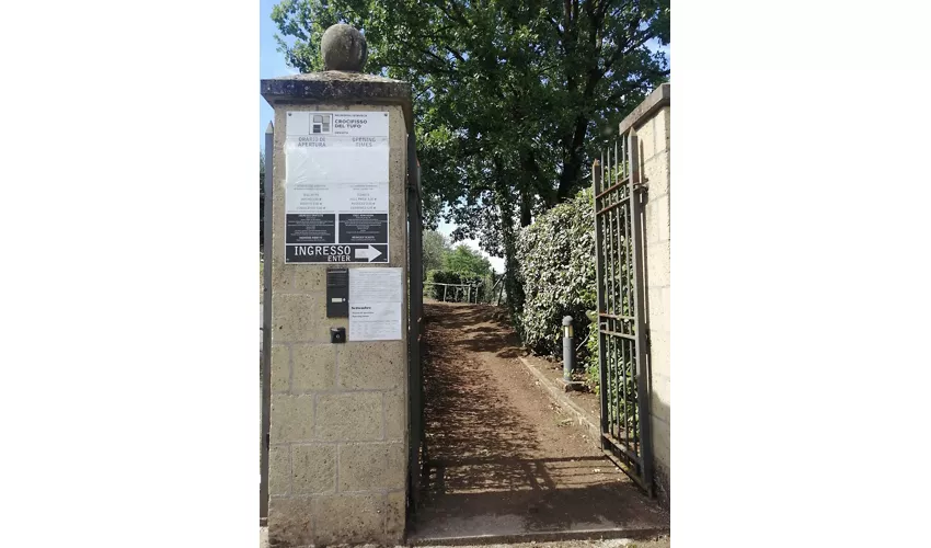 Nécropole étrusque de Crocifisso del Tufo