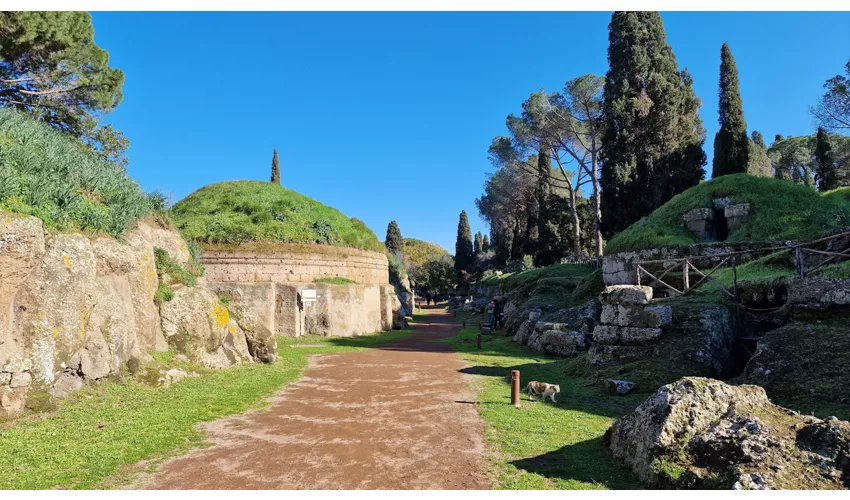 Túmulos etruscos de Cerveteri