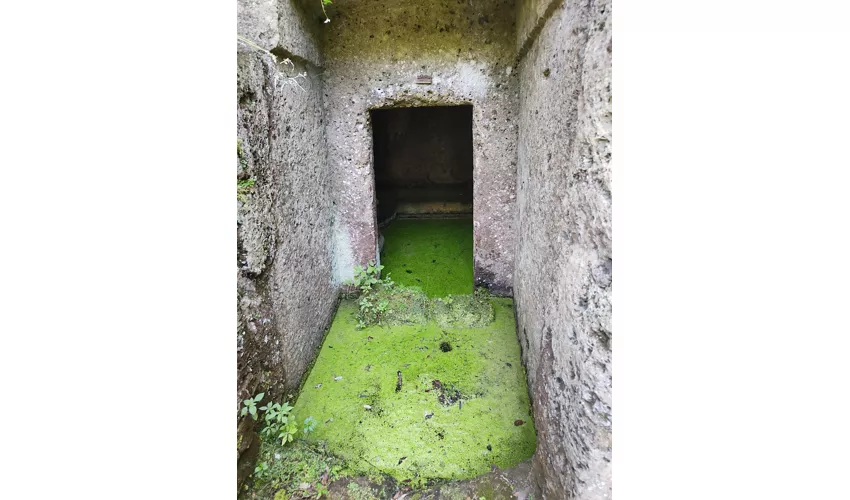 Tombes étrusques de Cerveteri