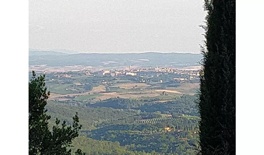 Necropoli del Poggino