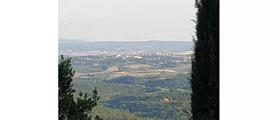 Necropoli del Poggino