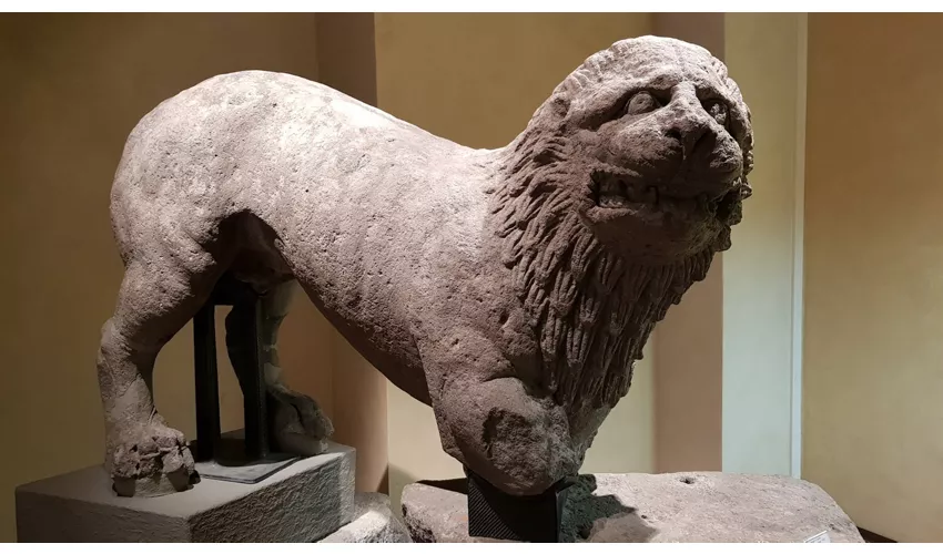 Museo Archeologico Nazionale di Firenze