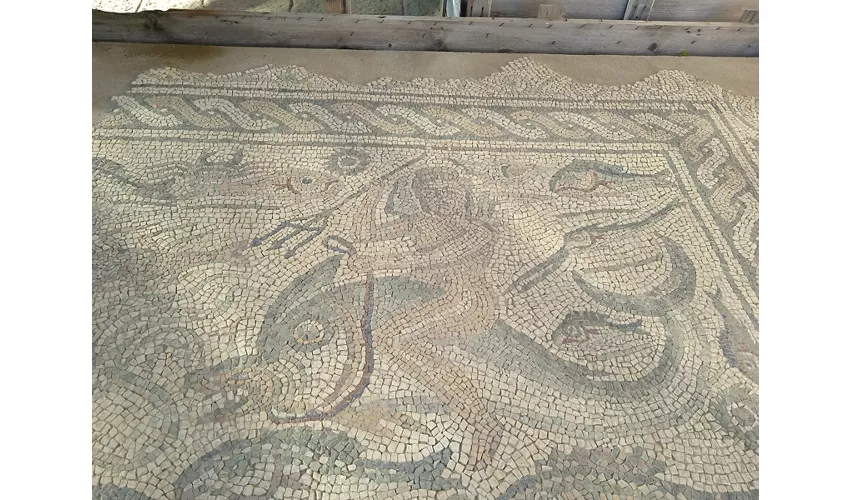 Museu Arqueológico Nacional e área arqueológica de Luni