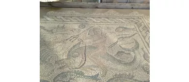 Museo Archeologico Nazionale e zona archeologica di Luni
