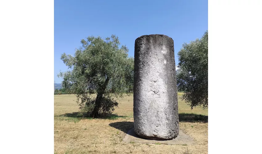 Museu Arqueológico Nacional e área arqueológica de Luni