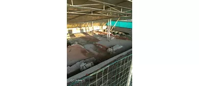Fornaci romane Ca' Turchi