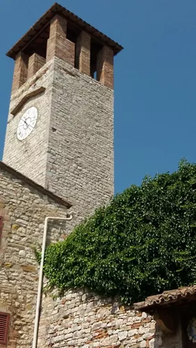 Chiesa Museo di San Francesco
