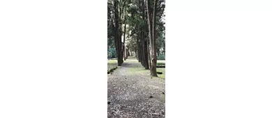 Area Archeologica Etrusco-Sannitica di Fratte