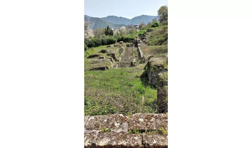 Teatro Ellenistico