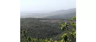 Area Archeologica di Vetulonia Poggiarello Renzetti