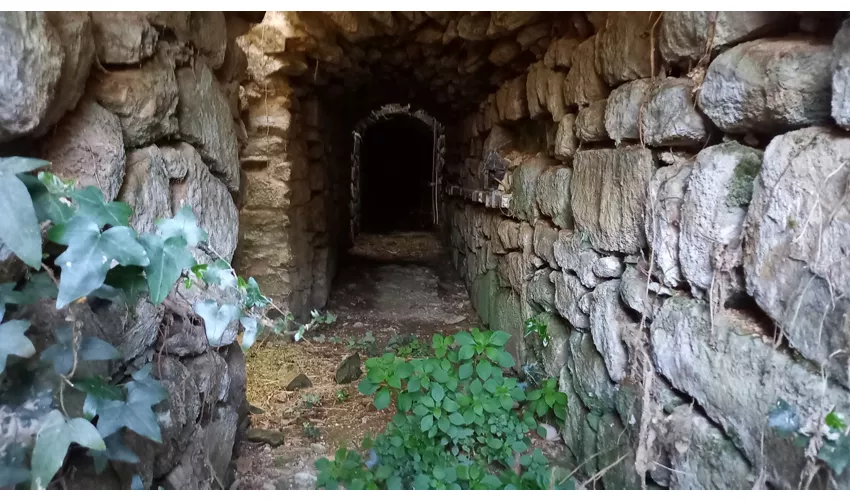 Zone archéologique de Vetulonia Poggiarello Renzetti