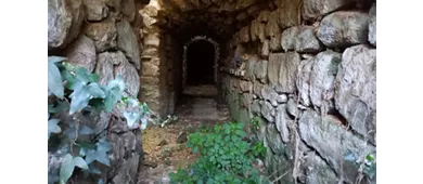 Zone archéologique de Vetulonia Poggiarello Renzetti