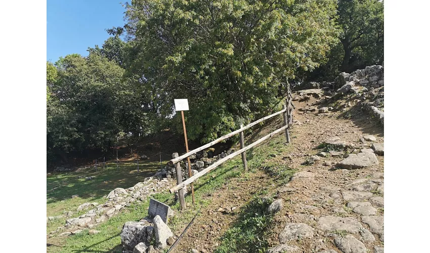 Zone archéologique de Vetulonia Poggiarello Renzetti