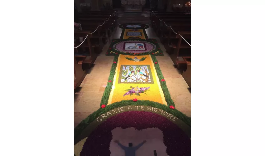 Antiquarium von Veleia und archäologische Stätte