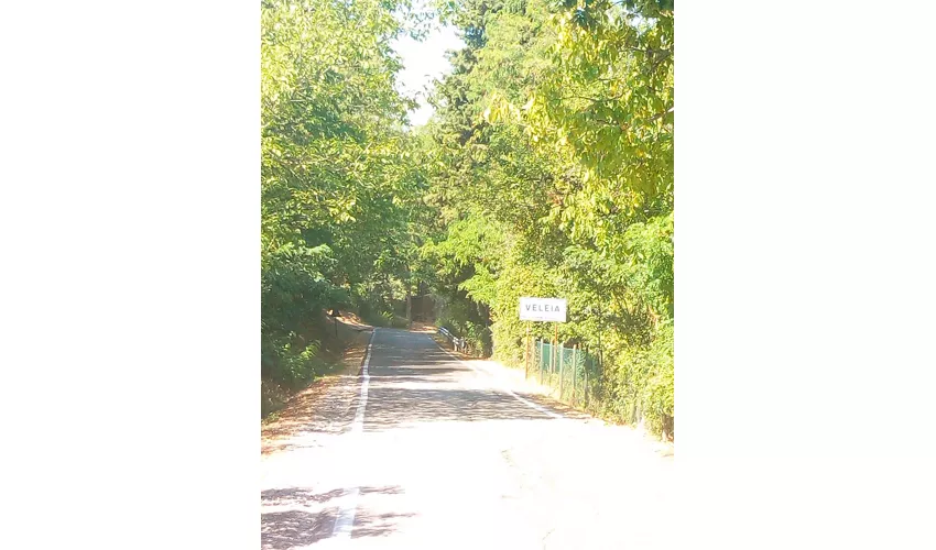 Antiquarium von Veleia und archäologische Stätte