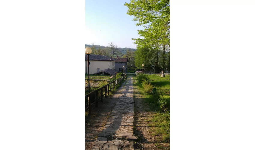 Antiquarium de Veleia et zone archéologique