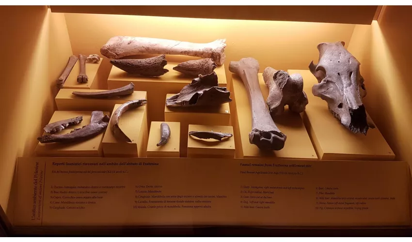 Archäologisches Nationalmuseum Fratta Polesine
