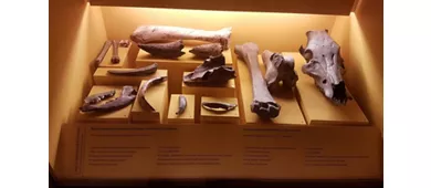 Archäologisches Nationalmuseum Fratta Polesine