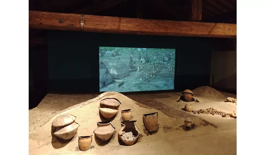 Museo Archeologico Nazionale di Fratta Polesine