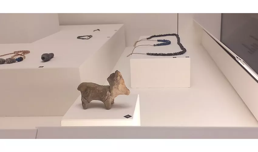 Musée archéologique national de Fratta Polesine