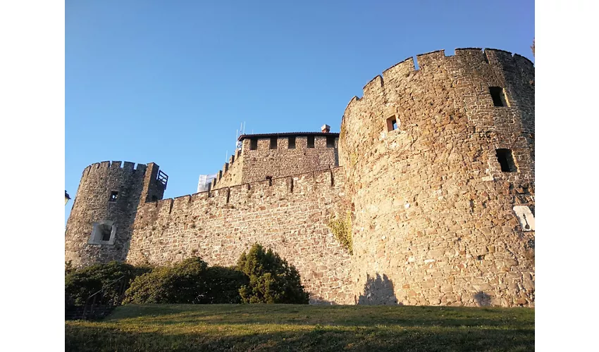 Château de Gorizia
