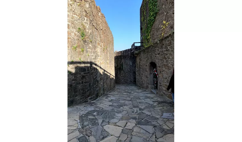 Château de Gorizia