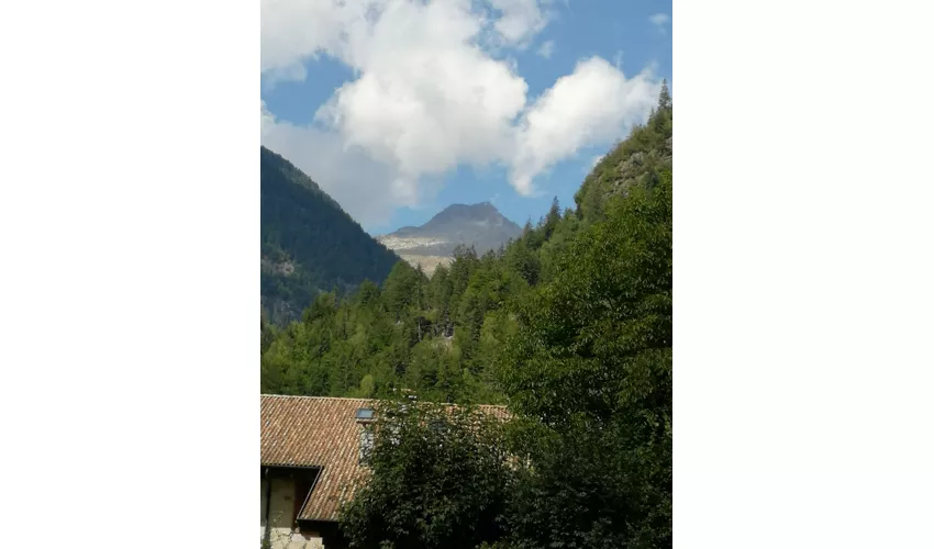 Casa del Parco Fauna