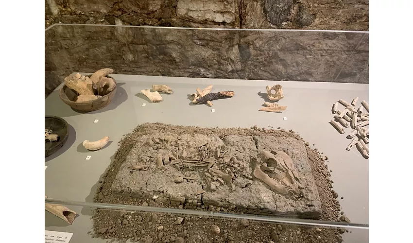 Tridentum - S.A.S.S. Spazio Archeologico Sotterraneo del Sas