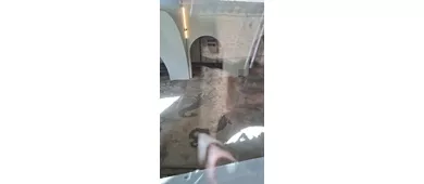 Terme Romane