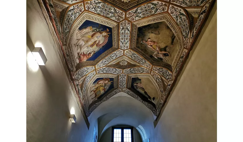 Palazzo Vitelli alla Cannoniera - Pinacoteca Comunale