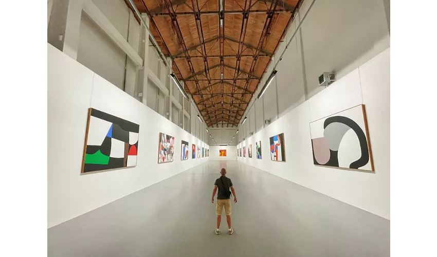 Sammlung Burri im ehemaligen Tabakwerk