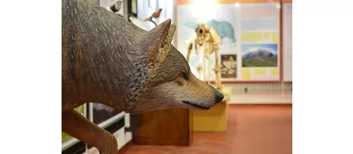 Museo Laboratorio del Parco del Monte Cucco