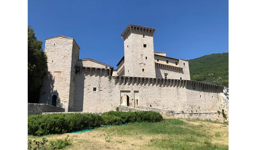 Rocca Flea