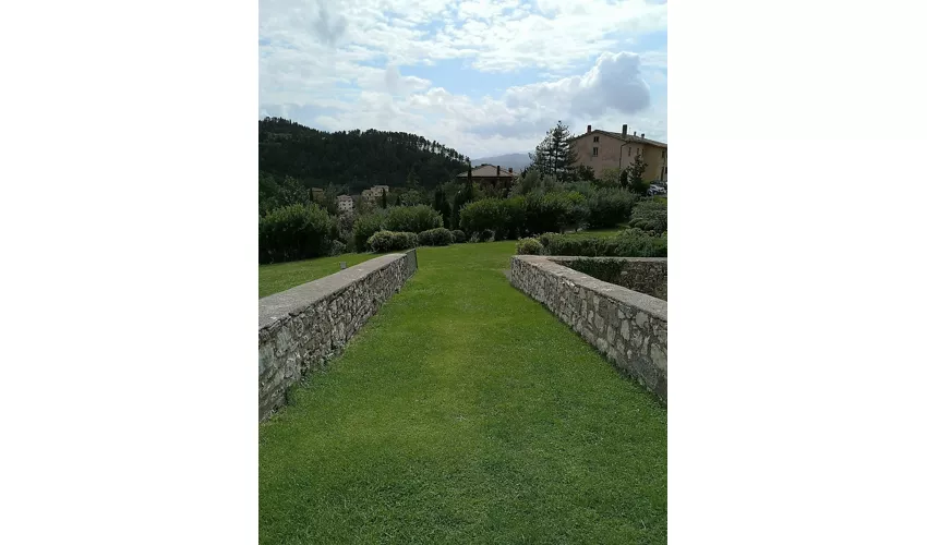 Rocca Flea